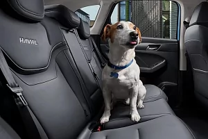Фото Haval Джолион 2023 - интерьер и экстерьер